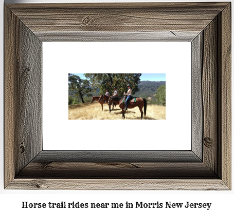 horse trail rides near me in Morris, New Jersey